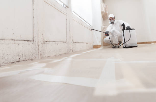 24/7 Emergency Mold Removal experts in Bradley Beach, NJ